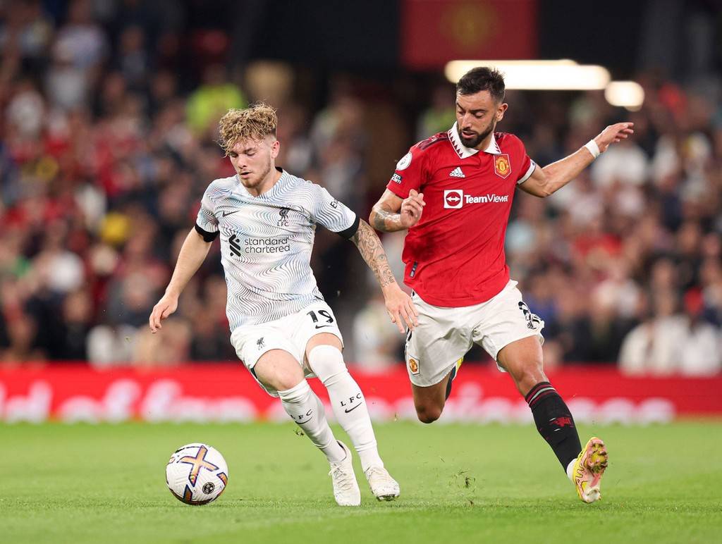 迫使雄鹿在 迫使雄鹿在