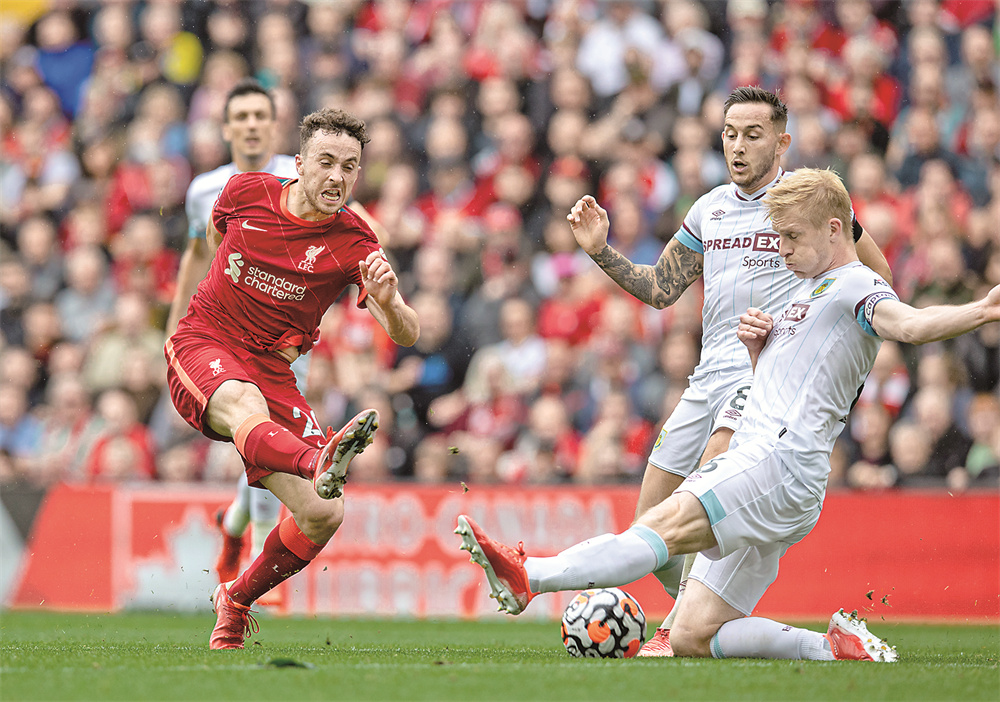 显微镜下 显微镜下